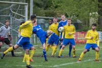 ssv_sveidelstedt-114