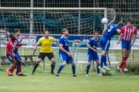 ssv_nikola_tesla-101