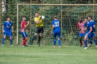 ssv_nikola_tesla-112